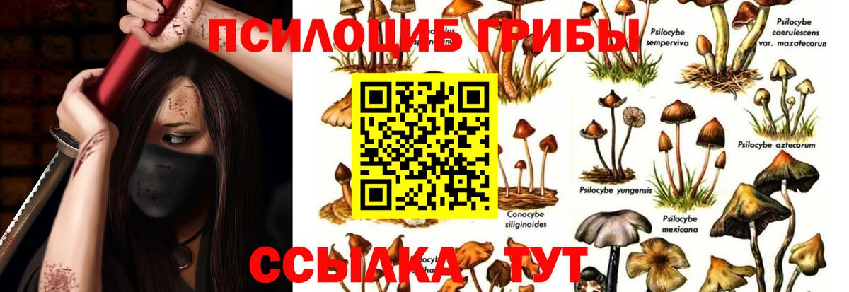 Галлюциногенные грибы прущие грибы Камышлов